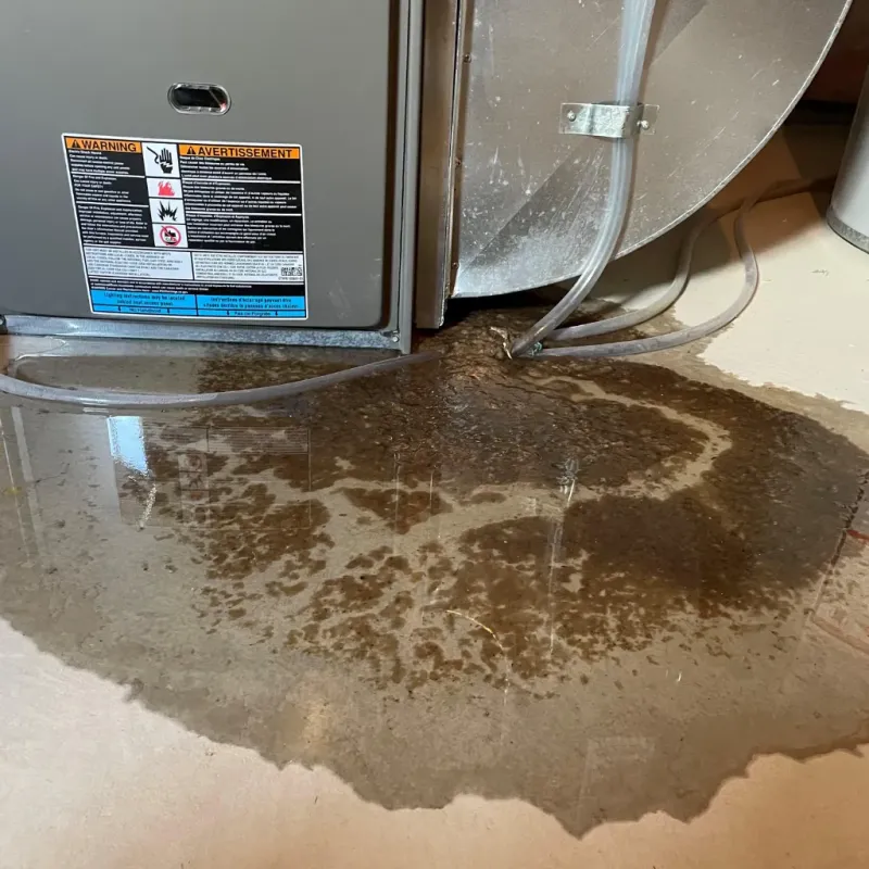 Appliance Leak Cleanup in Ellport, PA